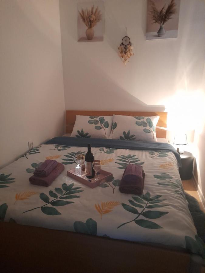 Apartman Lela Vrsac Luaran gambar