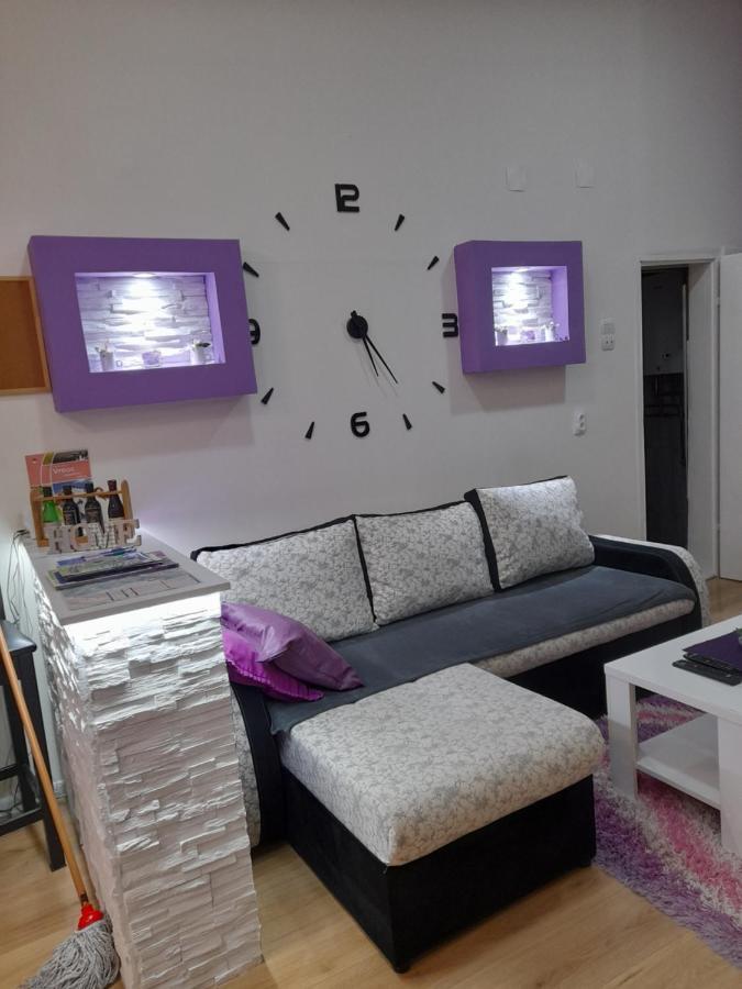 Apartman Lela Vrsac Luaran gambar